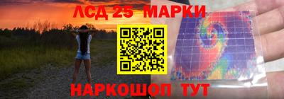 гидропоника Кулебаки
