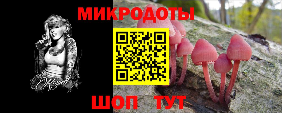 купить наркотик  Вход с VPN  Псилоцибиновые грибы прущие грибы  Коломна  Псилоцибиновые грибы прущие грибы 